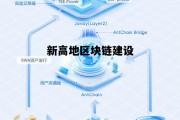 新区块链项目在哪发布，新高地区块链建设