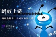 蚂蚁区块链信息查询系统官网，蚂蚁区块链信息查询系统