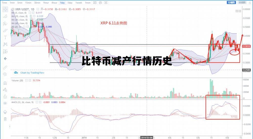 比特币减产行情历史最高价，比特币减产行情历史
